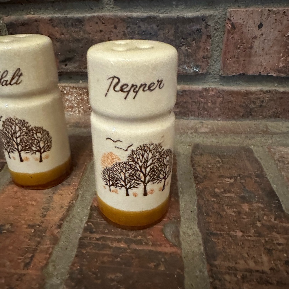 Vintage Salt and Pepper Shakers
